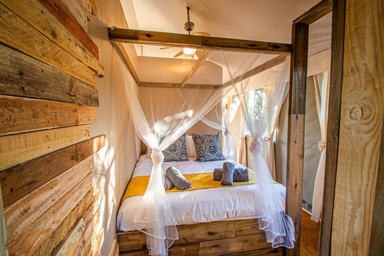 Mountain View Safari Lodge 호에드스프뤼트 외부 사진