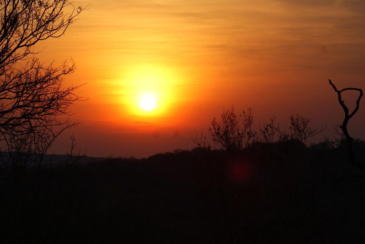Mountain View Safari Lodge 호에드스프뤼트 외부 사진
