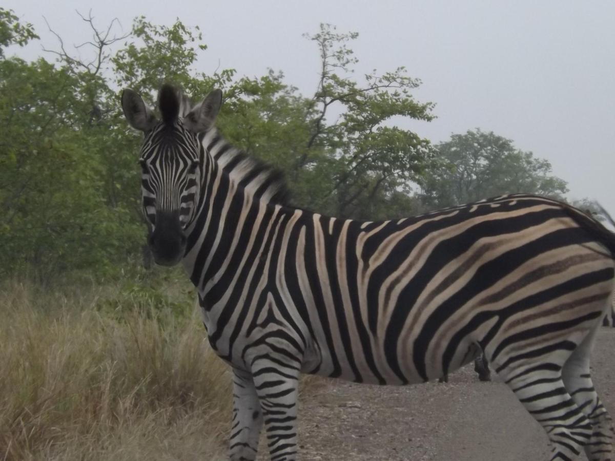 Mountain View Safari Lodge 호에드스프뤼트 외부 사진